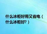 什么冰柜好用又省电（什么冰柜好?）