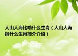 人山人海比喻什么生肖（人山人海指什么生肖简介介绍）