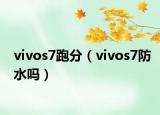 vivos7跑分（vivos7防水吗）