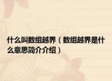 什么叫数组越界（数组越界是什么意思简介介绍）