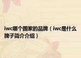 iwc哪个国家的品牌（iwc是什么牌子简介介绍）