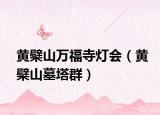 黄檗山万福寺灯会（黄檗山墓塔群）