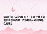 茕茕白兔,东走西顾 的下一句是什么（茕茕白兔东走西顾；衣不如新人不如故是什么意思）