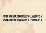 怎样才能快速减去肚子上的赘肉（怎样才能快速减去肚子上的脂肪）