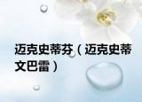 迈克史蒂芬（迈克史蒂文巴雷）
