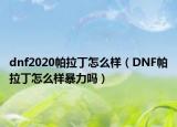 dnf2020帕拉丁怎么样（DNF帕拉丁怎么样暴力吗）