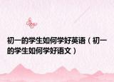 初一的学生如何学好英语（初一的学生如何学好语文）