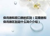 仰月唇和覆口唇的区别（花瓣唇和仰月唇区别是什么简介介绍）