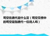司空在唐代是什么官（司空见惯中的司空是指唐代一位诗人吗）