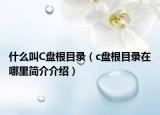 什么叫C盘根目录（c盘根目录在哪里简介介绍）