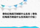春色红梅香万树解什么生肖（春色红梅香万树是什么生肖简介介绍）