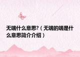 无端什么意思?（无端的端是什么意思简介介绍）