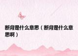断背是什么意思（断背是什么意思啊）