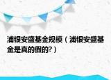浦银安盛基金规模（浦银安盛基金是真的假的?）