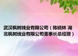 武汉枫树线业有限公司（陈晓林 湖北枫树线业有限公司董事长总经理）