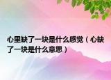 心里缺了一块是什么感觉（心缺了一块是什么意思）