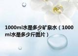 1000ml水是多少矿泉水（1000ml水是多少斤图片）
