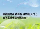 素描画简单 初学者 铅笔画 入门（自学素描吧铅笔画技法）