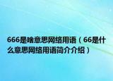 666是啥意思网络用语（66是什么意思网络用语简介介绍）
