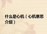 什么是心机（心机意思介绍）