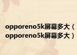 opporeno5k屏幕多大（opporeno5k屏幕多大）