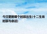 今日更新哪个时辰出生(十二生肖时辰与命运)