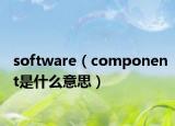 software（component是什么意思）