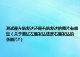 测试是左脑发达还是右脑发达的图片有哪些（关于测试左脑发达还是右脑发达的一张图片?）