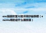 enc鏂囦欢鐢ㄤ粈涔堟挱鏀惧櫒（enenlu用的是什么播放器）
