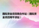 国际资金项目网合作站（国际资金项目网平凉站）
