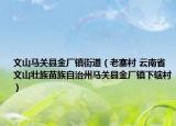 文山马关县金厂镇街道（老寨村 云南省文山壮族苗族自治州马关县金厂镇下辖村）