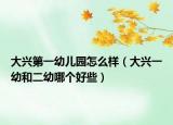 大兴第一幼儿园怎么样（大兴一幼和二幼哪个好些）