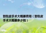 割包皮手术大概要费用（割包皮手术大概要多少钱）
