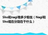 Sho和nagi有多少粉丝（Nagi和Sho现在分别在干什么）