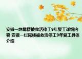 安徽一烂尾楼被救活停工9年复工详细内容 安徽一烂尾楼被救活停工9年复工具体介绍