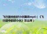 飞行器中的好小伙国语mp4（《飞行器中的好小伙》怎么样）