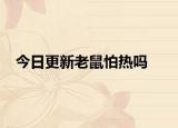 今日更新老鼠怕热吗