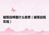 破茧自缚是什么意思（破茧自我实现）