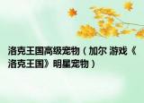 洛克王国高级宠物（加尔 游戏《洛克王国》明星宠物）