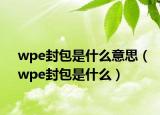 wpe封包是什么意思（wpe封包是什么）
