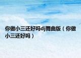 你做小三还好吗dj舞曲版（你做小三还好吗）