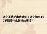 辽宁工地挖出大蟒蛇（辽宁挖出140岁蛇精什么时候的事情?）