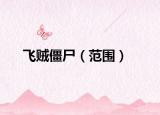 飞贼僵尸（范围）