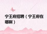 宁王府招聘（宁王府在哪啊）
