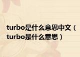 turbo是什么意思中文（turbo是什么意思）