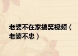 老婆不在家搞笑视频（老婆不忠）