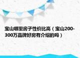 宝山哪里房子性价比高（宝山200-300万品牌好房有介绍的吗）