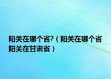 阳关在哪个省?（阳关在哪个省阳关在甘肃省）