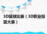 3D篮球比赛（3D职业投篮大赛）