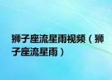 狮子座流星雨视频（狮子座流星雨）